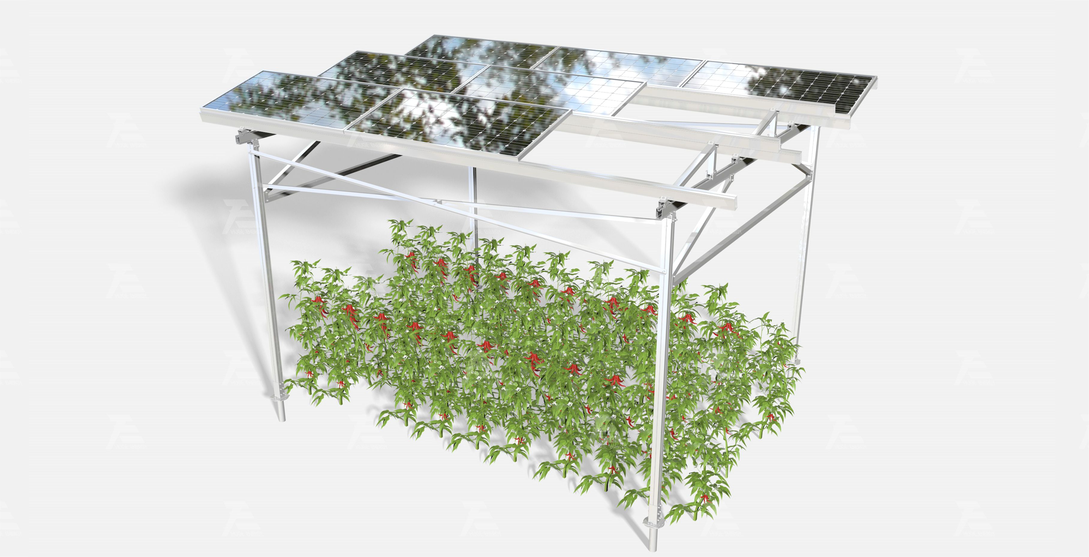 Solar agricultural mounting system