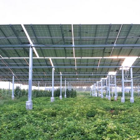 Cấu trúc năng lượng mặt trời trang trại
