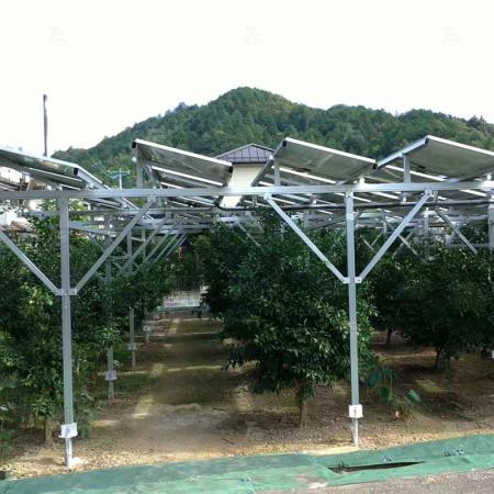 Cấu trúc năng lượng mặt trời trang trại
