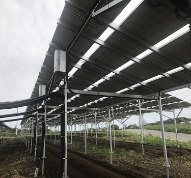 hệ thống gắn trang trại năng lượng mặt trời, Nhật Bản