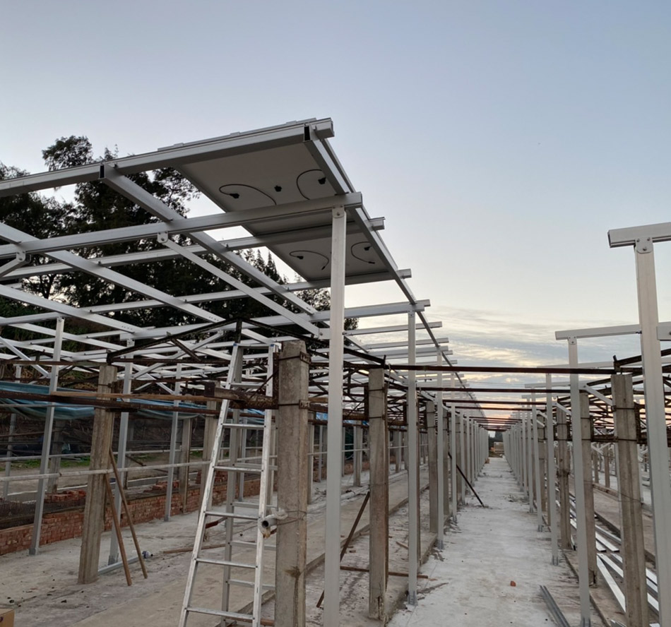 Trang trại gà đầu tiên có hệ thống lắp đặt năng lượng mặt trời của Xiamen Huge Energy tại Đài Loan